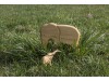 Set animale exotice din lemn